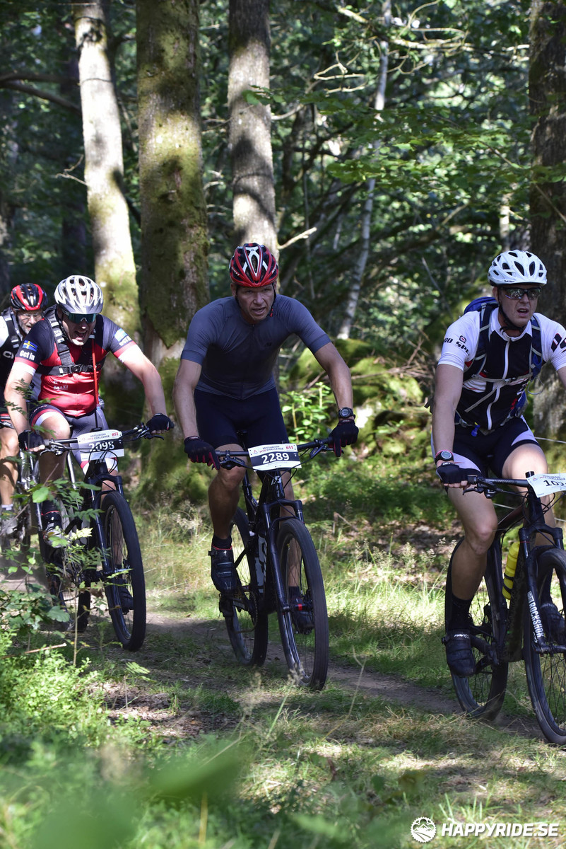 Bild från Bockstensturen 2019